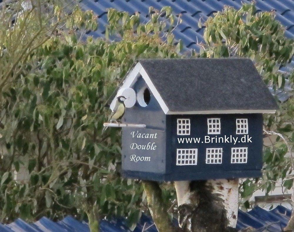 Hotel Villa Brinkly Snekkersten Buitenkant foto